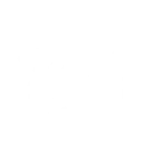 ICON.